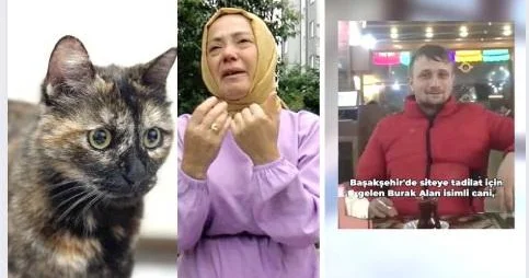 Heç bir güzəşt edilmədi, pişiyin qatili 3 il 8 ay həbs cəzası aldı