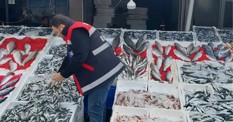 Qardaş ölkədə qeyri adi hadisə: Müştəri çupra balığı ilə döyüldü FOTOLAR