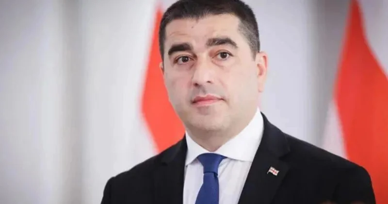 Gürcü spiker Prezident sarayına basqını terror adlandırıb