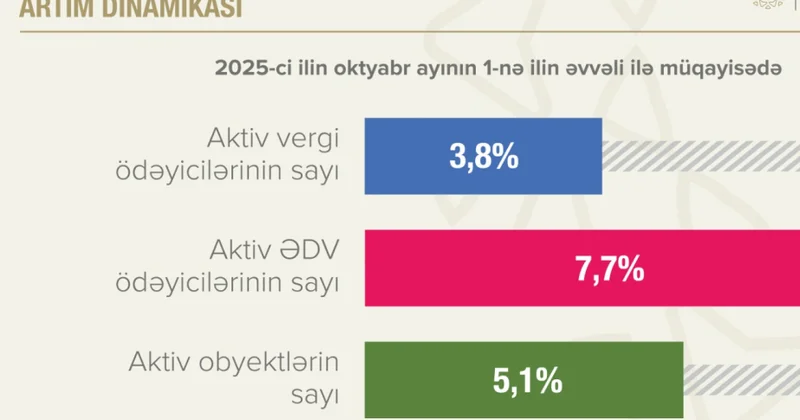 Azərbaycanda aktiv ƏDV ödəyicilərinin sayı 60 minə çatıb