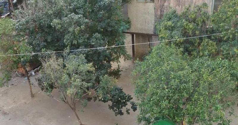 Sumqayıtda zibil qalmaqalı: KONKRET