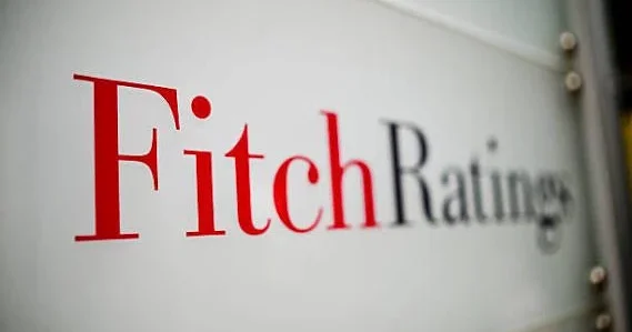Fitch Ratings: Банковская отрасль Азербайджана значительно повысила устойчивость