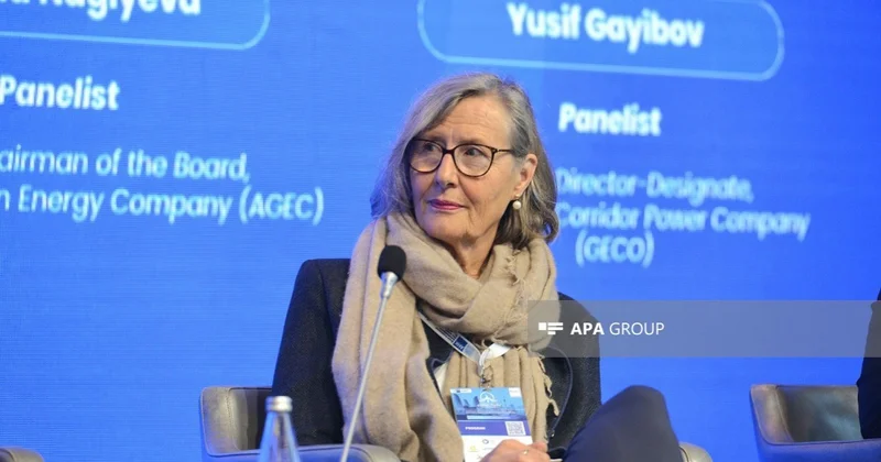 Almaniya Yaşıl Enerji Dəhlizi layihəsinə dəstək verməyə hazırdır