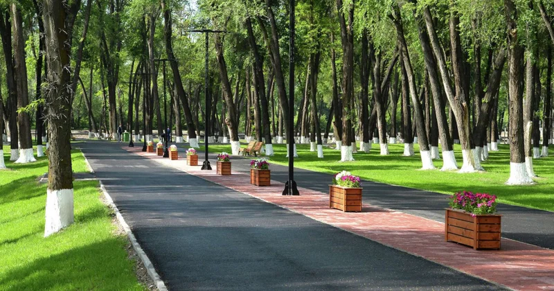 Qırğızıstanda “kəsilmiş hər bir ağaca görə beş ağac” qaydasının tətbiqi təklif edilir