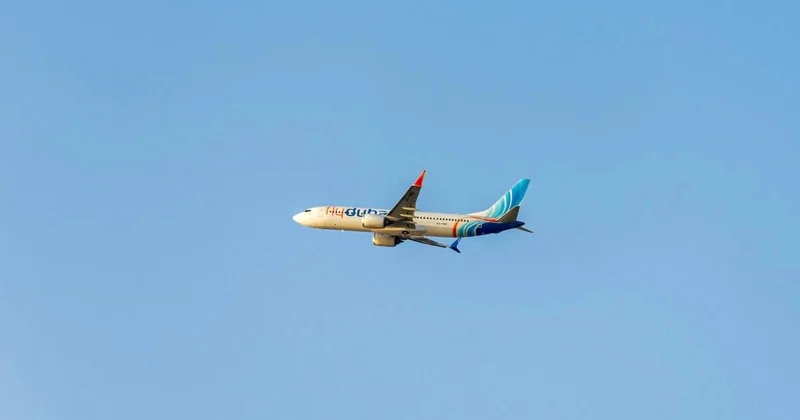 BƏƏ dən İsrailə 4 gündə 37 uçuş olub SƏBƏB
