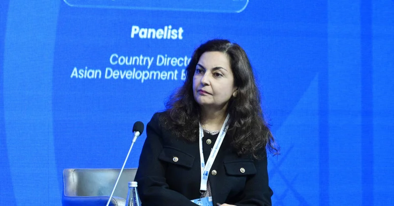 AİB 2030 cu ilədək özəl sektor kreditləşməsini illik 13 milyard dollara çatdırmağı hədəfləyir