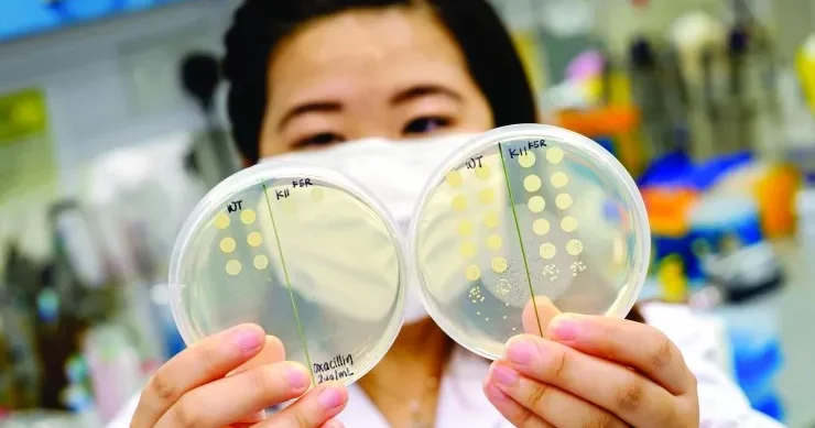 Antibiotiklərə davamlı bakteriyaların yeni zəif nöqtələri tapıldı