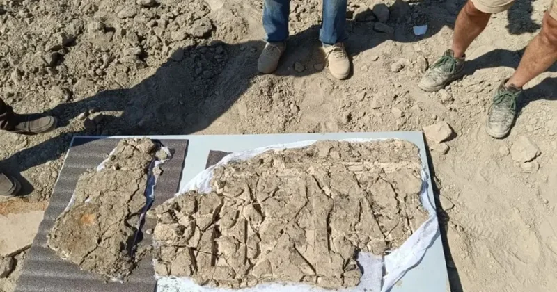 Buxarada Samanilər dövrünə aid məscid bəzəkləri aşkarlanıb