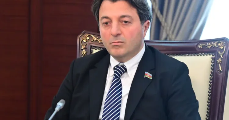 “Azərbaycana nə himayədar, nə də köməkçi lazımdır” Tural Gəncəliyev