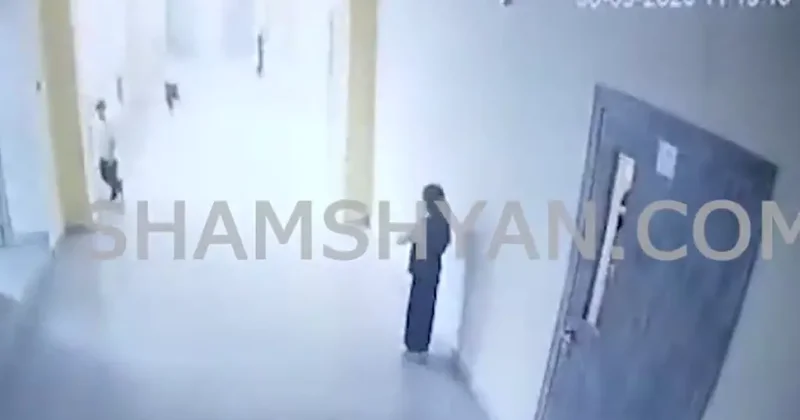В Армении учительница избила второклассницу Видео