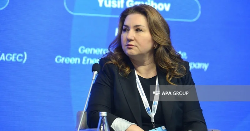 AGEC: Azərbaycanda bərpa olunan enerji layihələrinin icra mexanizmləri təkmilləşdirilməlidir