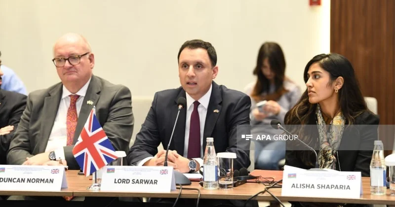 Сарвар: Азербайджанские компании должны активнее инвестировать в Великобританию