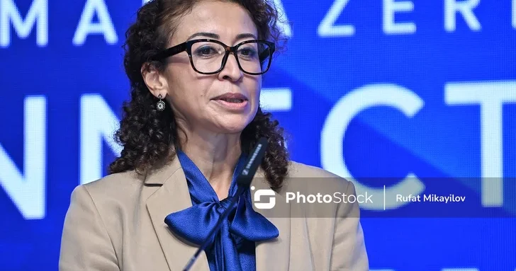 Директор AHK Azerbaijan: Германия заинтересована стать частью Среднего коридора