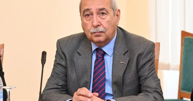 Professor: Sülh sazişləri təkcə beynəlxalq hüquqa deyil, həm də dövlətlərin konstitusion sistemlərinə əsaslanır