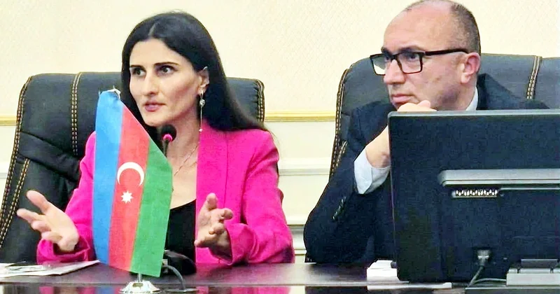 206 məktəbdən 116 ya düşdü: Gürcüstandakı azərbaycandilli məktəblər yox olur SOS