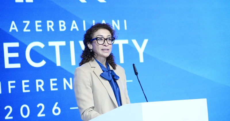 Almaniya və Azərbaycan birgə layihələrin hazırlanması imkanlarını genişləndirmək niyyətindədir