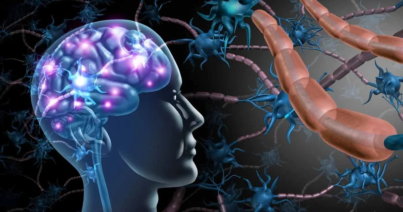 Yaxın gələcəkdə parkinson, epilepsiya və görmə qabiliyyətinin bərpası mümkün olacaq