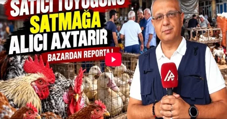 “Bəzən bir toyuq belə satılmır” Lənkəran bazarında vəziyyət VİDEO
