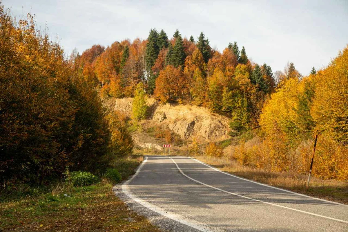 Sabahın hava proqnozu açıqlandı Yeni Sabah