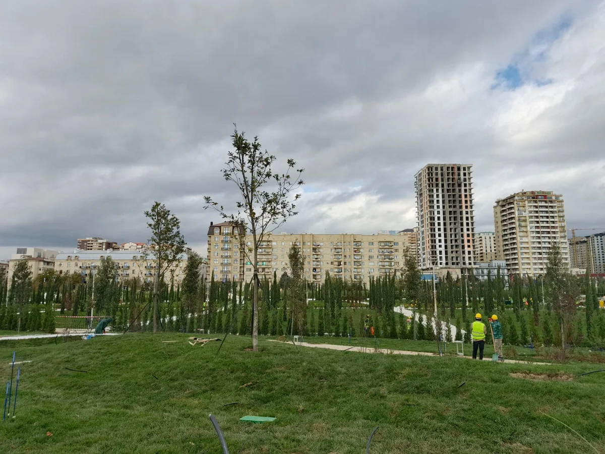 “Yaşıl dünya naminə həmrəylik ili” çərçivəsində ağacəkmə aksiyası davam edir