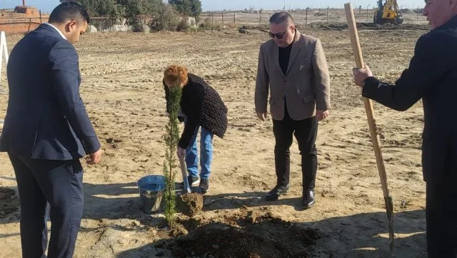 YAP Pirallahı rayon təşkilatı ağacəkmə aksiyası keçirib FOTOLAR