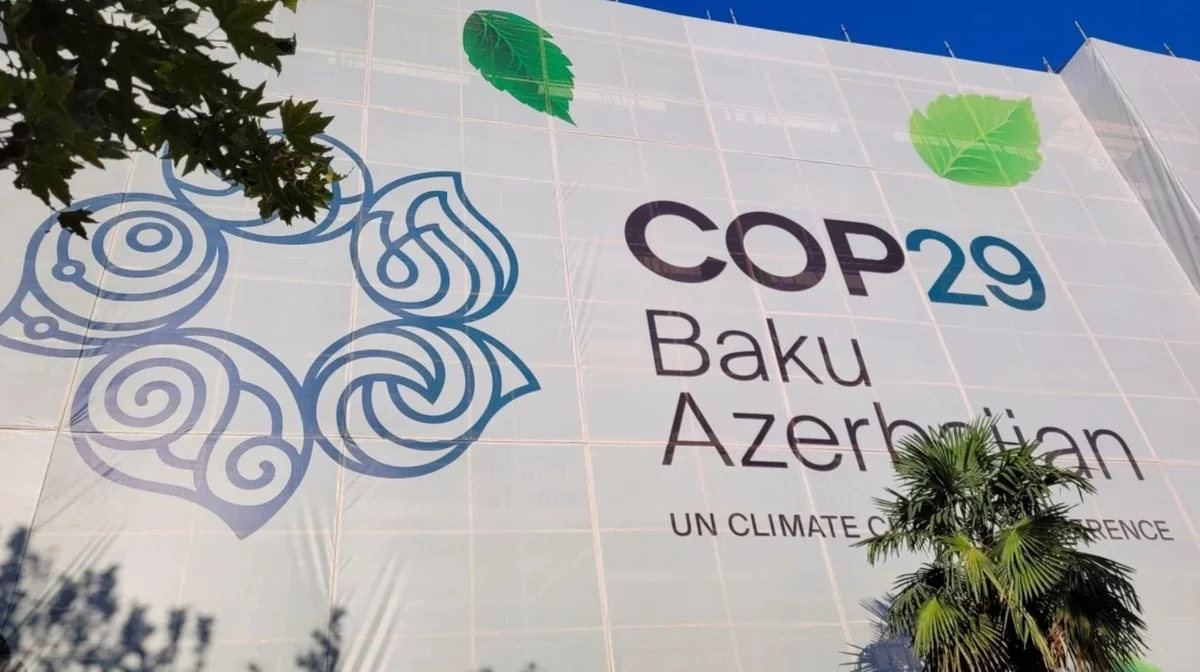 Баку и ОЭС обсудили участие организации в COP29