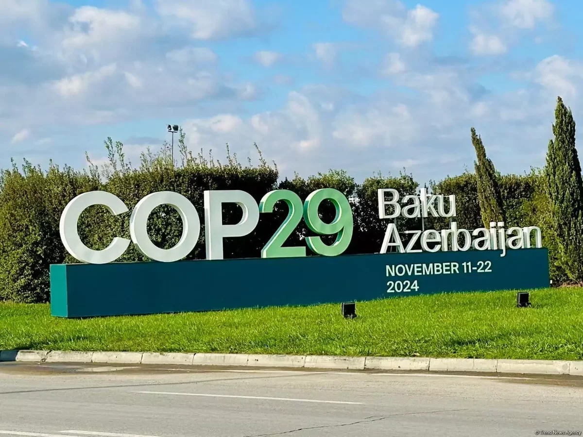 COP29 çərçivəsində “Yaşıl Rəqəmsal Fəaliyyət” üzrə bəyannamə qəbul ediləcək