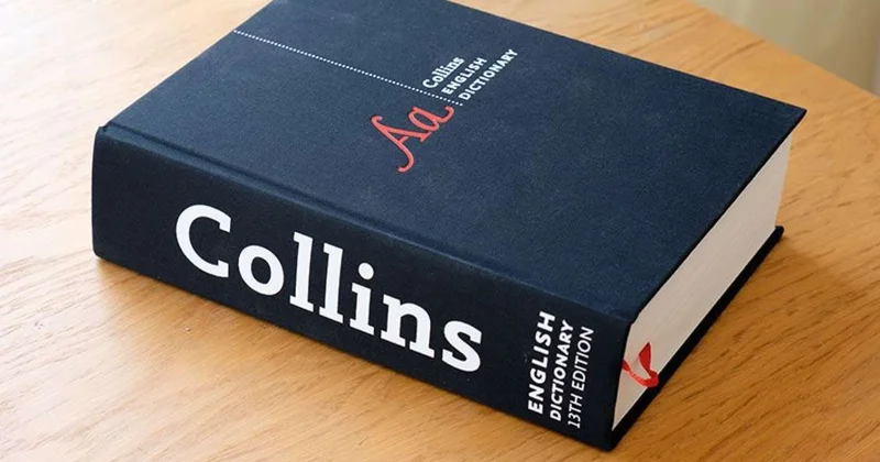 2025 ci ilin sözü açıqlandı “Vibe Coding” nə deməkdir?