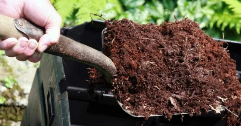 Azərbaycan mineral və orqanomineral gübrələrin idxalını ƏDV dən azad edə bilər