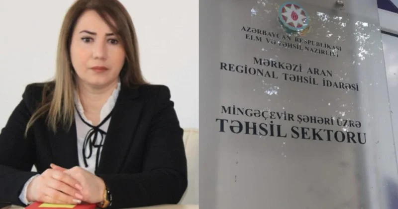 Sevinc Həsənovaya şiddətli töhmət verildi