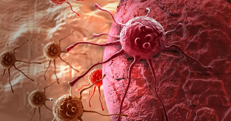 В человеческом организме обнаружена защита от рака