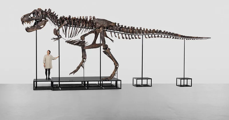 У британского бизнесмена отберут скелет динозавра