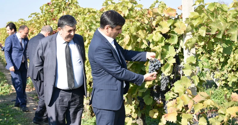 Aqrar Xidmətlər Agentliyinin sədri Ağstafada vətəndaşların müraciətlərini dinləyib FOTOLAR