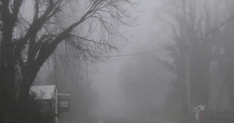 Sabahın havası: duman olacaq