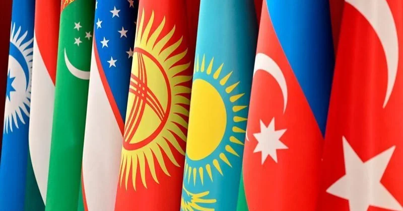 TDT nin veb saytı bütün üzv ölkələrin ana dillərində istifadəyə verilib