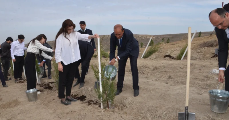 Qazaxda 8 min ağac və dekorativ kol əkilib
