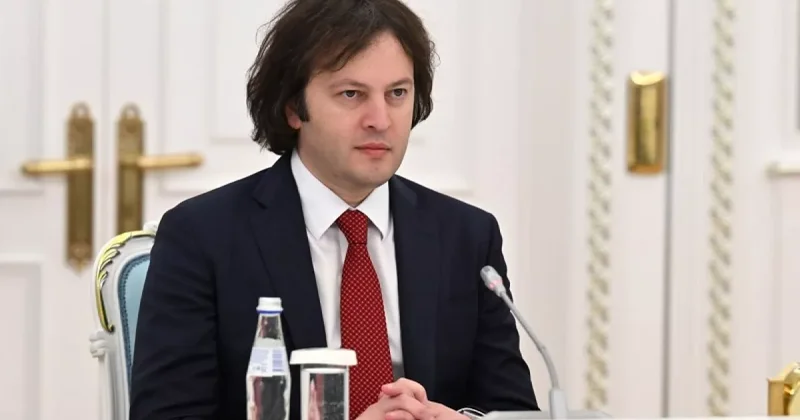 Кобахидзе о запрете партий: Демократическая система должна защитить себя