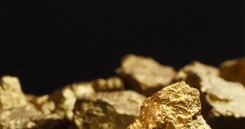 Во Франции мужчина нашел на участке клад из золота на 700 тысяч евро