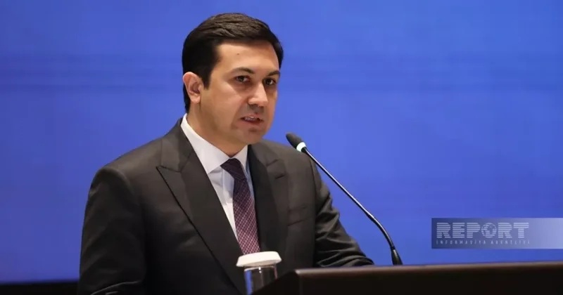 Назарли: В Азербайджане молодежи на рынке труда могут предоставить налоговые льготы