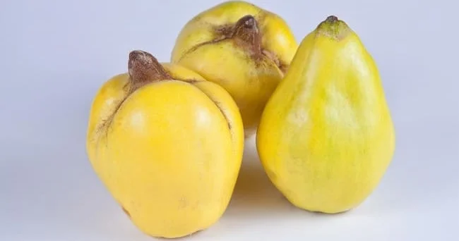 Tərkibi vitamin, mineral və antioksidantlarla zəngin olan heyva insan sağlamlığına necə təsir edir? Video