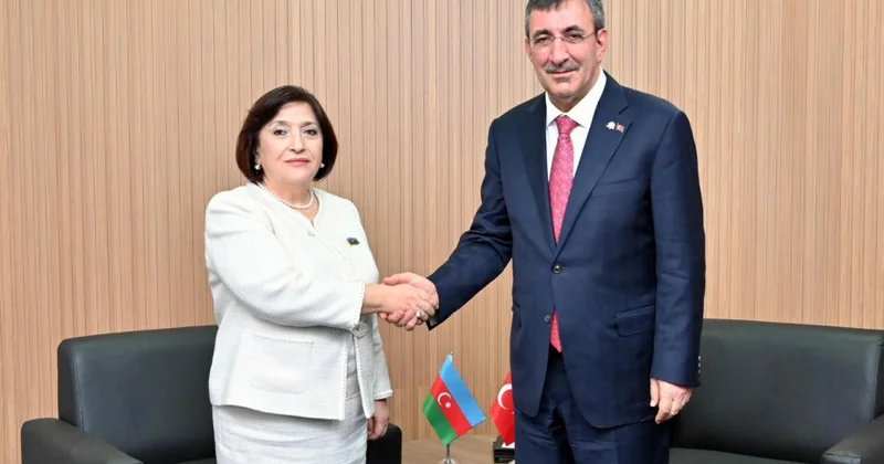 Milli Məclisin sədri Türkiyə Respublikasının Vitse prezidenti ilə görüşüb