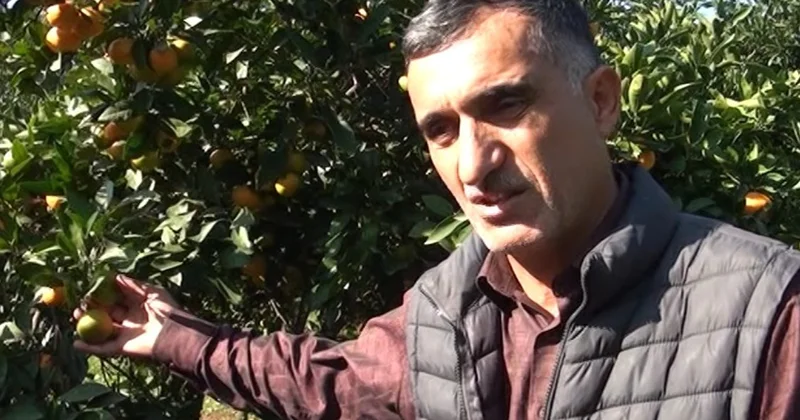 “Məhsulumuzu 30 qəpiyə belə alan yoxdur” Video