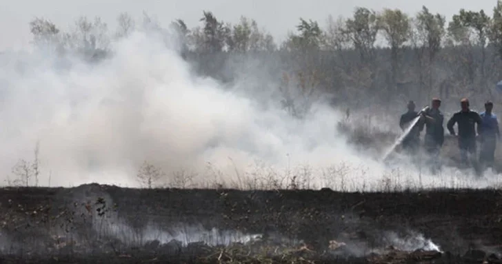 В Имишлинском районе сгорели две тонны тюков сена, есть пострадавшие