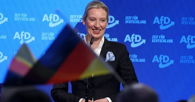 Альтернативу для Германии подозревают в сборе военной информации для Кремля