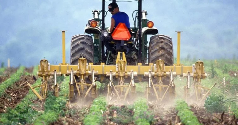 Сельское хозяйство Британии тонет в убытках Minval Politika