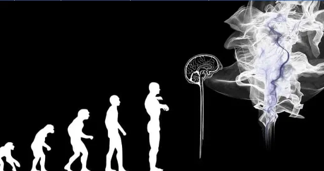 İnsanların quyruğu niyə yoxdur ?