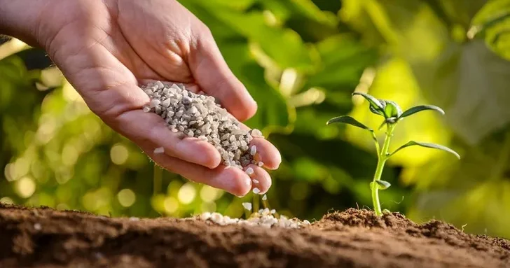 Импорт минеральных и органоминеральных удобрений в Азербайджане предложено освободить от НДС