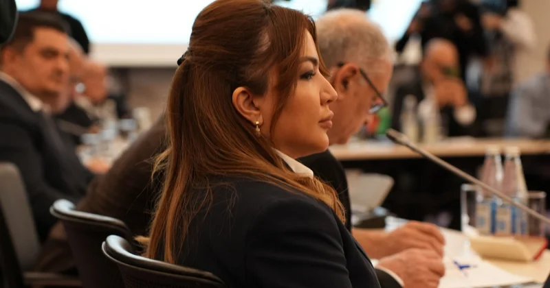 Интерес НПО к теме Западного Азербайджана растёт Minval Politika