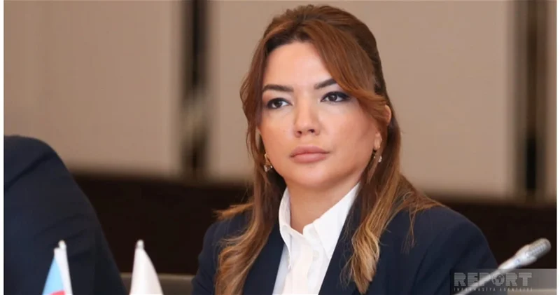 Айгюн Алиева: Число профинансированных проектов о Западном Азербайджане в 2025 году удвоилось