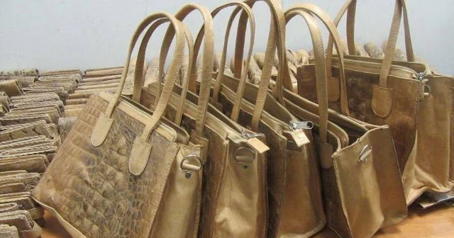 İş adamı timsah və ilan dərisindən hazırlanmış qaçaqmalla saxlanıldı FOTOLAR